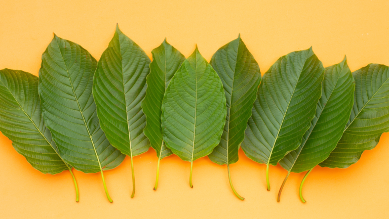 How Does Kratom Compare to Traditional Medications for Chronic Pain Management?