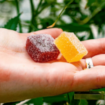 The Best Time to Take Delta 10 THC Gummies for Optimal Effects